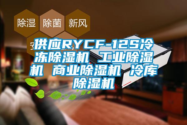 供應RYCF-12S冷凍除濕機 工業(yè)除濕機 商業(yè)除濕機 冷庫除濕機