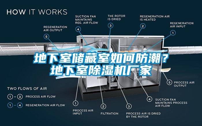 地下室儲(chǔ)藏室如何防潮？地下室除濕機(jī)廠家