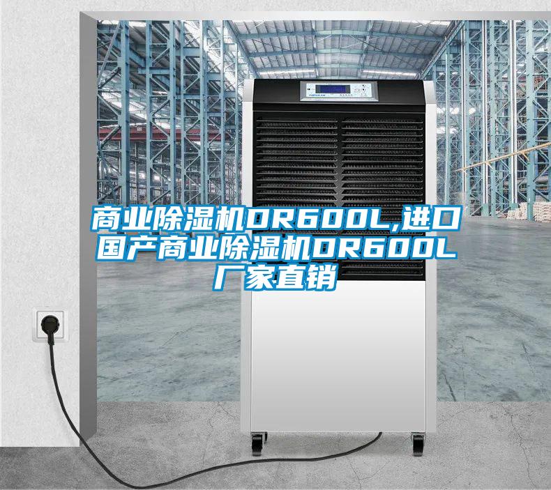 商業(yè)除濕機DR600L,進口國產(chǎn)商業(yè)除濕機DR600L廠家直銷