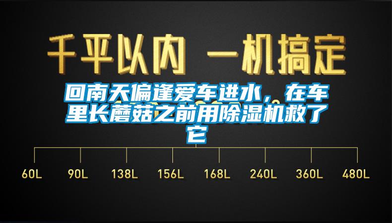 回南天偏逢愛車進水，在車里長蘑菇之前用除濕機救了它