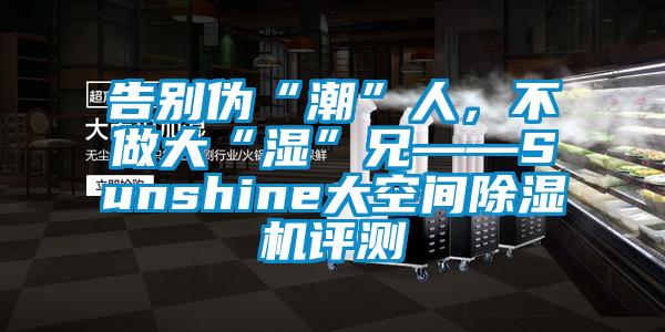 告別偽“潮”人，不做大“濕”兄——Sunshine大空間除濕機(jī)評測