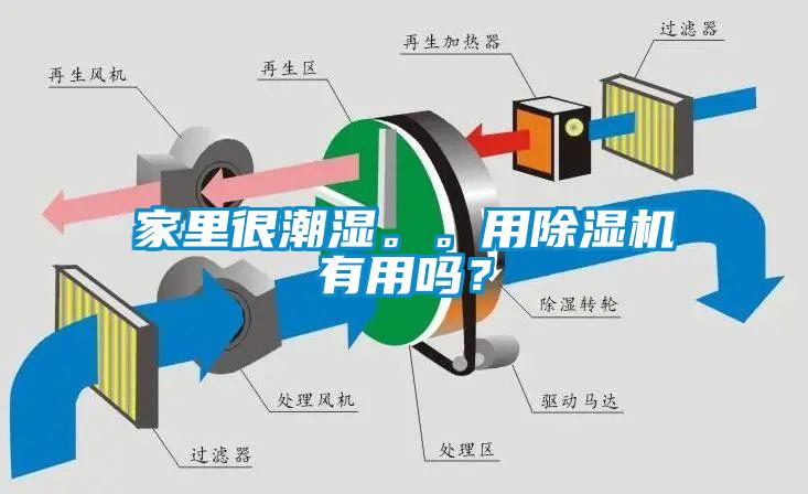 家里很潮濕。。用除濕機(jī)有用嗎？