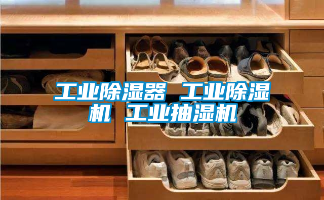 工業(yè)除濕器 工業(yè)除濕機 工業(yè)抽濕機