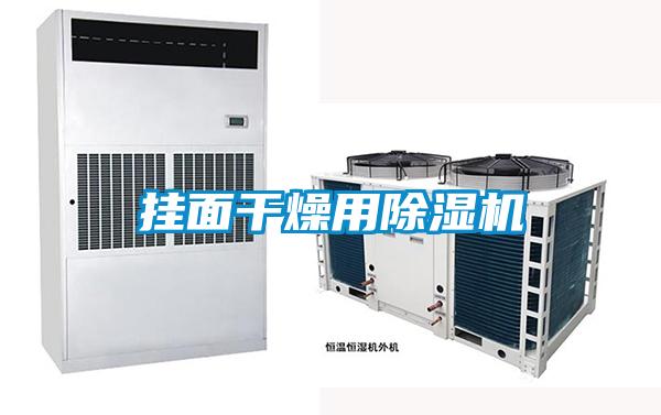 掛面干燥用除濕機