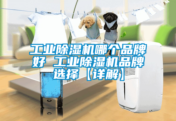 工業(yè)除濕機哪個品牌好 工業(yè)除濕機品牌選擇【詳解】