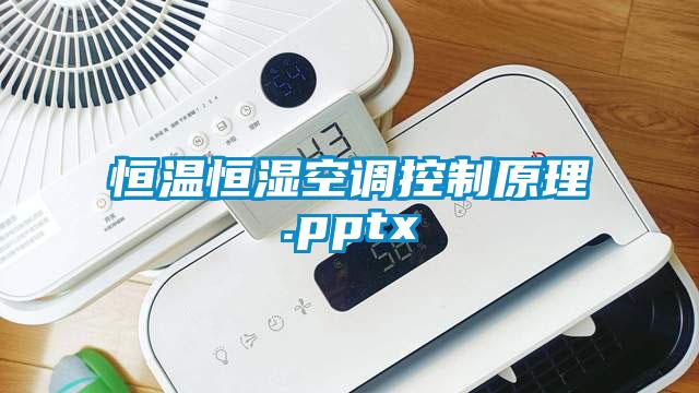 恒溫恒濕空調(diào)控制原理.pptx