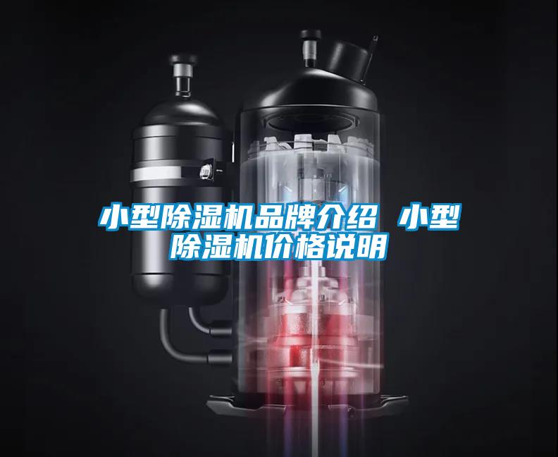 小型除濕機(jī)品牌介紹 小型除濕機(jī)價(jià)格說明