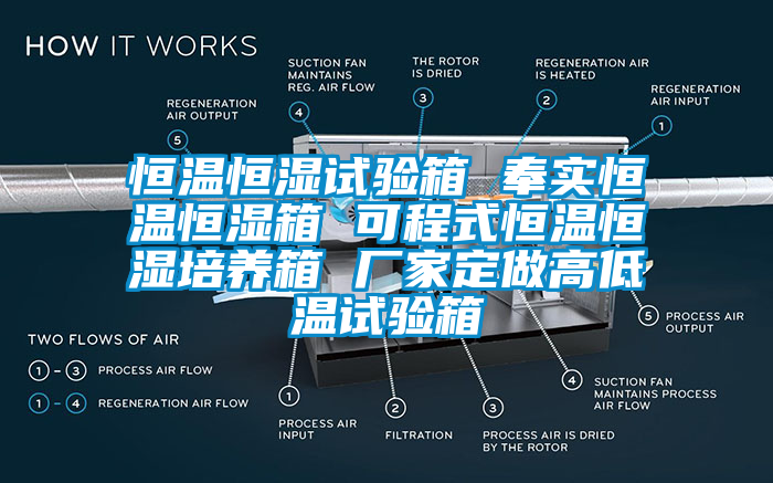 恒溫恒濕試驗箱 奉實恒溫恒濕箱 可程式恒溫恒濕培養(yǎng)箱 廠家定做高低溫試驗箱