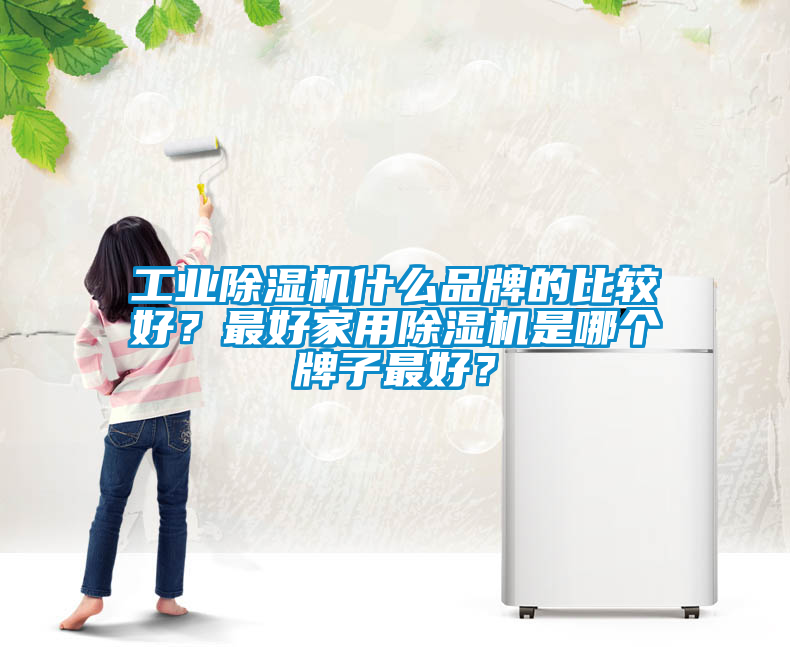 工業(yè)除濕機(jī)什么品牌的比較好？最好家用除濕機(jī)是哪個(gè)牌子最好？