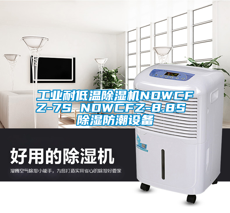 工業(yè)耐低溫除濕機(jī)NDWCFZ-7S NDWCFZ-8.8S 除濕防潮設(shè)備