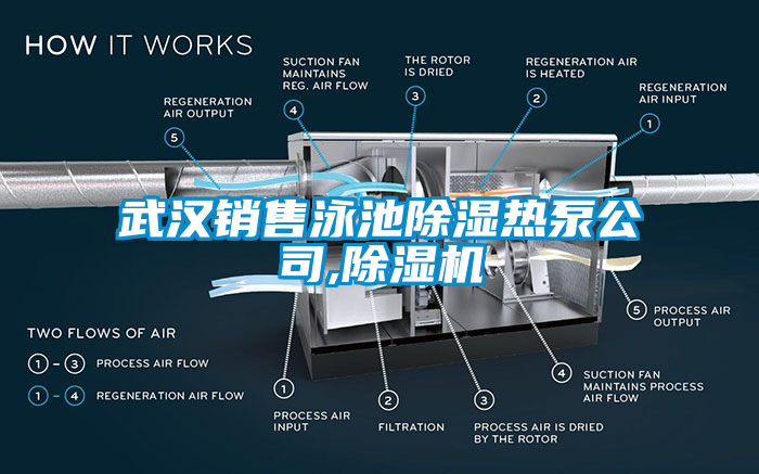 武漢銷售泳池除濕熱泵公司,除濕機