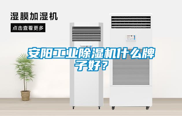 安陽工業(yè)除濕機什么牌子好？