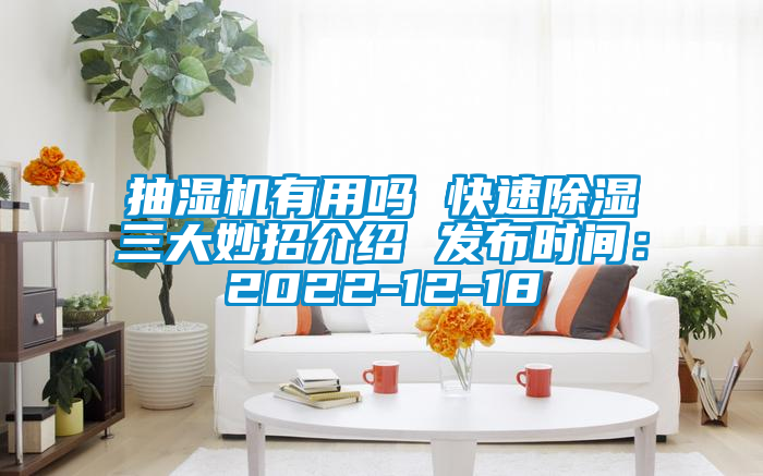 抽濕機(jī)有用嗎 快速除濕三大妙招介紹 發(fā)布時(shí)間：2022-12-18