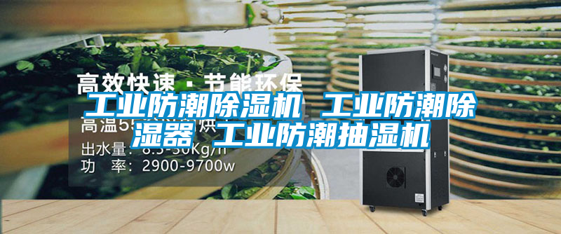 工業(yè)防潮除濕機 工業(yè)防潮除濕器 工業(yè)防潮抽濕機