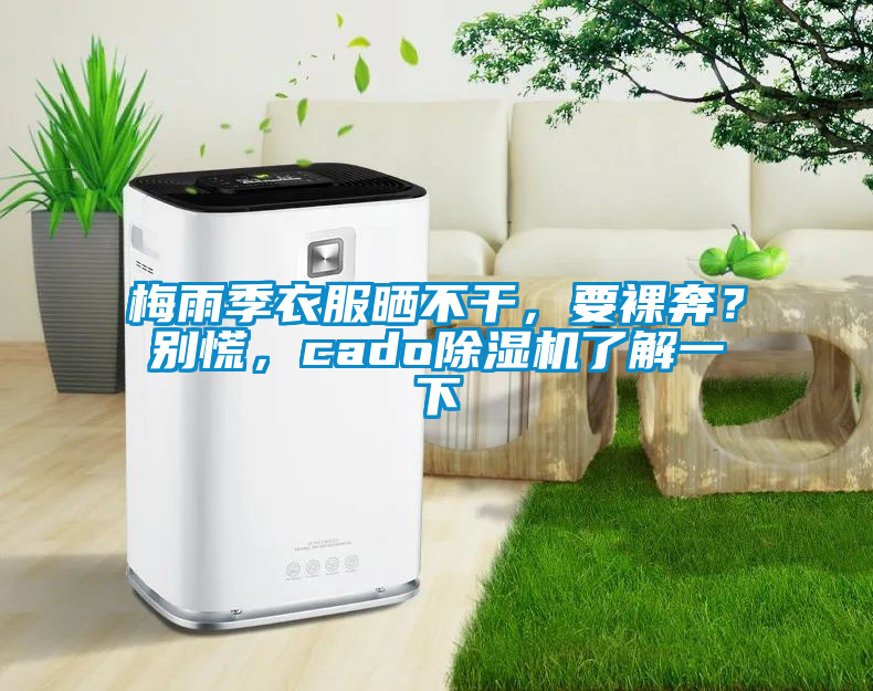 梅雨季衣服曬不干，要裸奔？別慌，cado除濕機(jī)了解一下