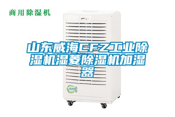 山東威海CFZ工業(yè)除濕機(jī)濕菱除濕機(jī)加濕器