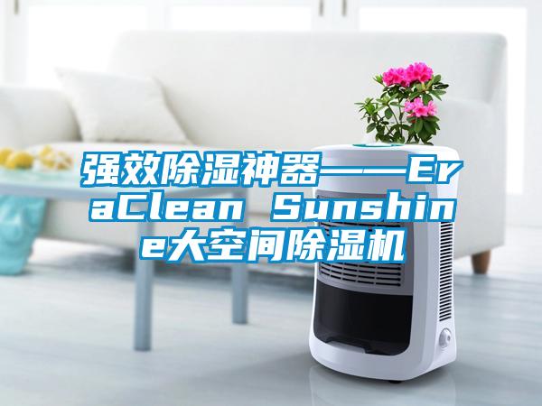 強(qiáng)效除濕神器――EraClean Sunshine大空間除濕機(jī)