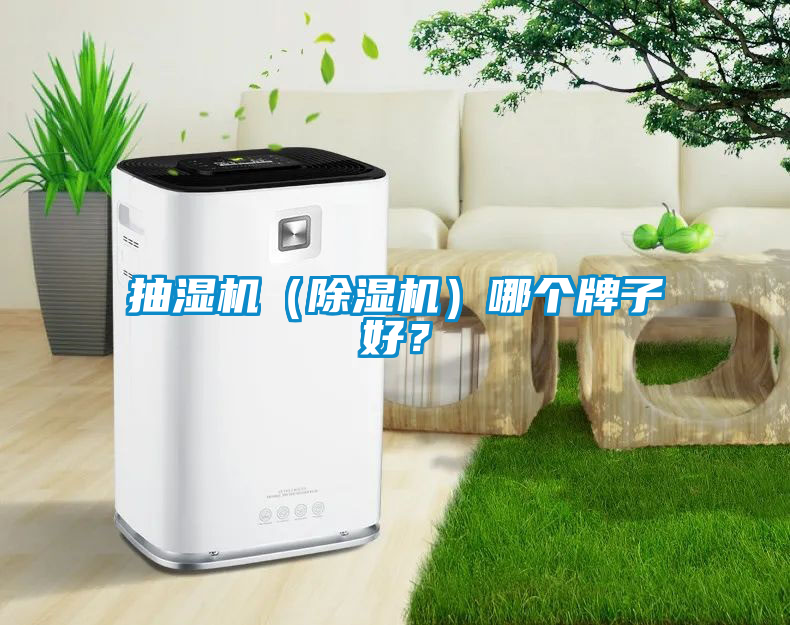 抽濕機（除濕機）哪個牌子好？