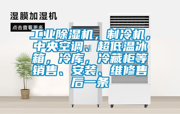 工業(yè)除濕機，制冷機，中央空調、超低溫冰箱，冷庫，冷藏柜等銷售、安裝、維修售后一條