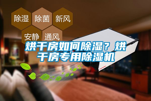 烘干房如何除濕？烘干房專用除濕機(jī)