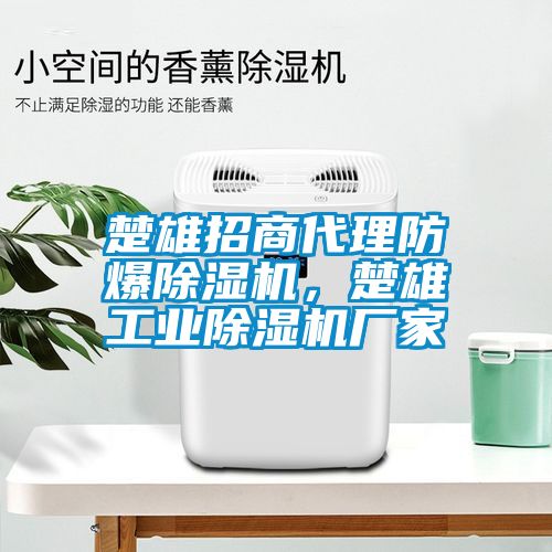 楚雄招商代理防爆除濕機，楚雄工業(yè)除濕機廠家