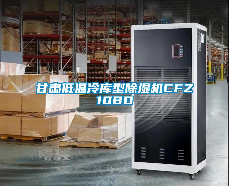 甘肅低溫冷庫(kù)型除濕機(jī)CFZ10BD