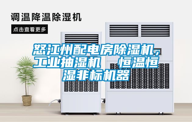 怒江州配電房除濕機(jī)，工業(yè)抽濕機(jī)  恒溫恒濕非標(biāo)機(jī)器