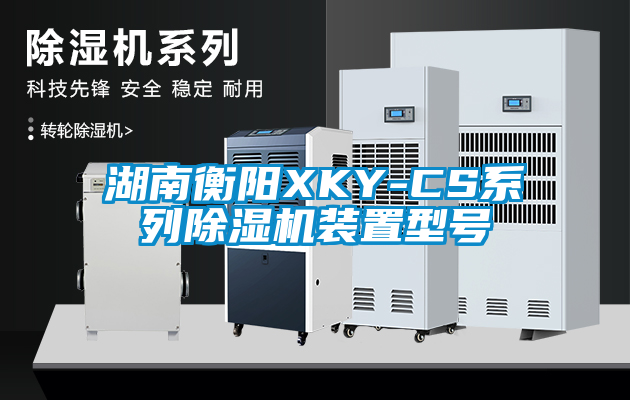 湖南衡陽(yáng)XKY-CS系列除濕機(jī)裝置型號(hào)