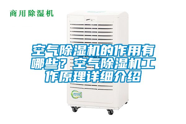 空氣除濕機的作用有哪些？空氣除濕機工作原理詳細介紹