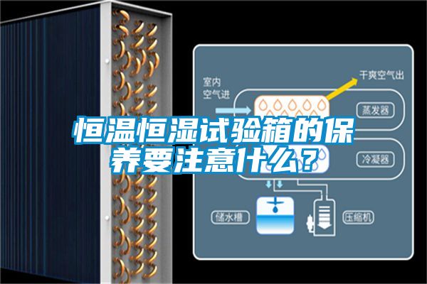 恒溫恒濕試驗(yàn)箱的保養(yǎng)要注意什么？