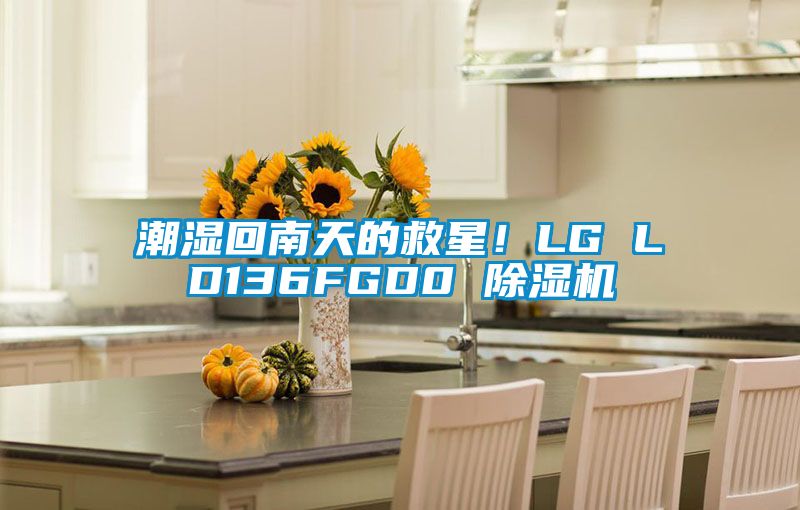 潮濕回南天的救星！LG LD136FGD0 除濕機