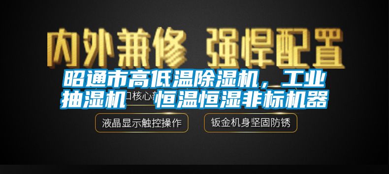 昭通市高低溫除濕機，工業(yè)抽濕機  恒溫恒濕非標機器