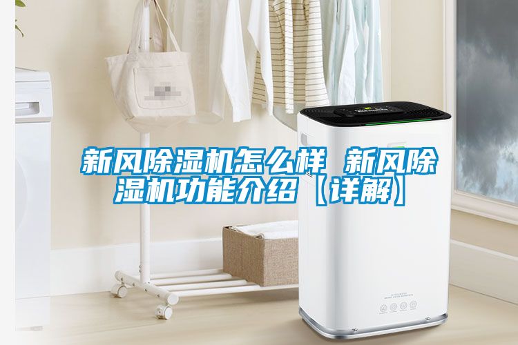 新風除濕機怎么樣 新風除濕機功能介紹【詳解】