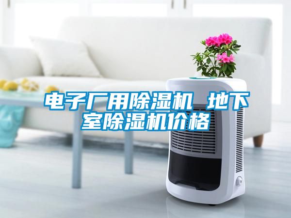 電子廠(chǎng)用除濕機(jī) 地下室除濕機(jī)價(jià)格