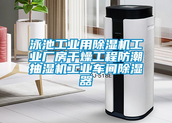 泳池工業(yè)用除濕機工業(yè)廠房干燥工程防潮抽濕機工業(yè)車間除濕器