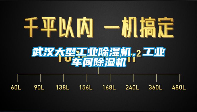 武漢大型工業(yè)除濕機，工業(yè)車間除濕機