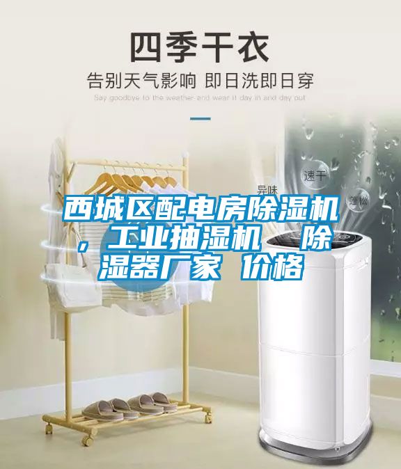 西城區(qū)配電房除濕機(jī)，工業(yè)抽濕機(jī)  除濕器廠家 價(jià)格