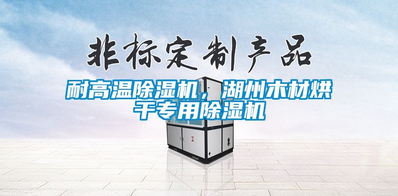 耐高溫除濕機，湖州木材烘干專用除濕機