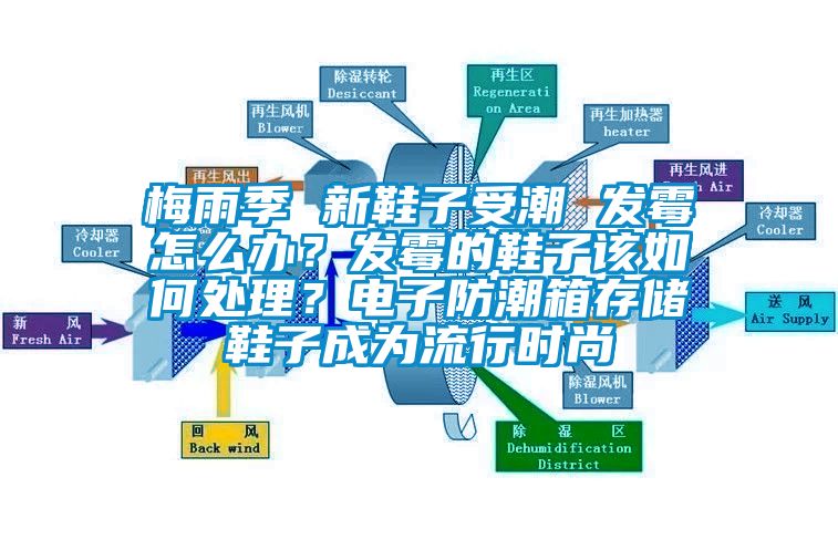 梅雨季 新鞋子受潮 發(fā)霉怎么辦？發(fā)霉的鞋子該如何處理？電子防潮箱存儲鞋子成為流行時尚