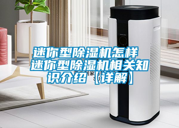 迷你型除濕機怎樣 迷你型除濕機相關(guān)知識介紹【詳解】