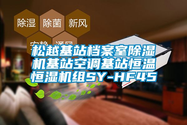 松越基站檔案室除濕機基站空調基站恒溫恒濕機組SY-HF45