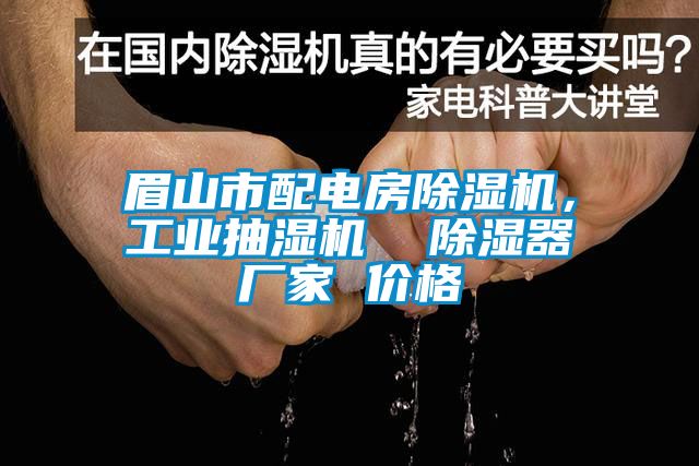 眉山市配電房除濕機，工業(yè)抽濕機  除濕器廠家 價格