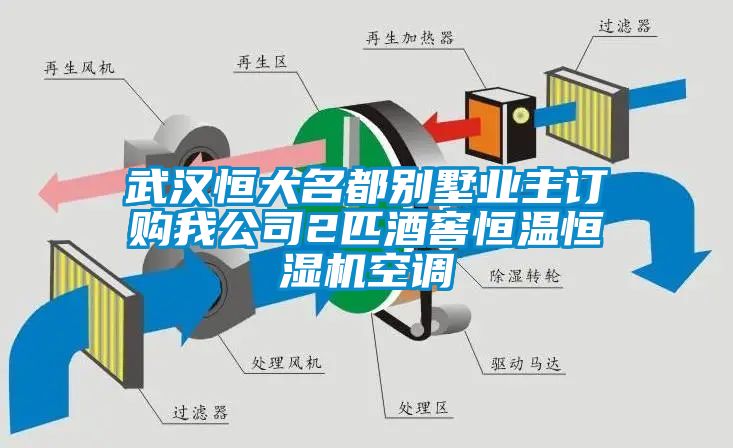 武漢恒大名都別墅業(yè)主訂購我公司2匹酒窖恒溫恒濕機空調(diào)