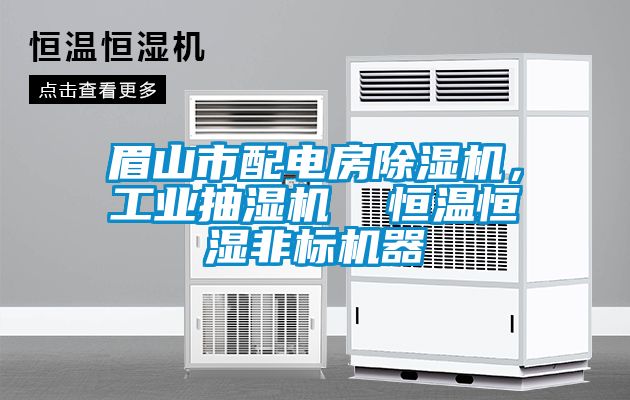 眉山市配電房除濕機(jī)，工業(yè)抽濕機(jī)  恒溫恒濕非標(biāo)機(jī)器