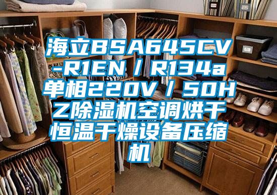 海立BSA645CV-R1EN／R134a單相220V／50HZ除濕機空調(diào)烘干恒溫干燥設備壓縮機