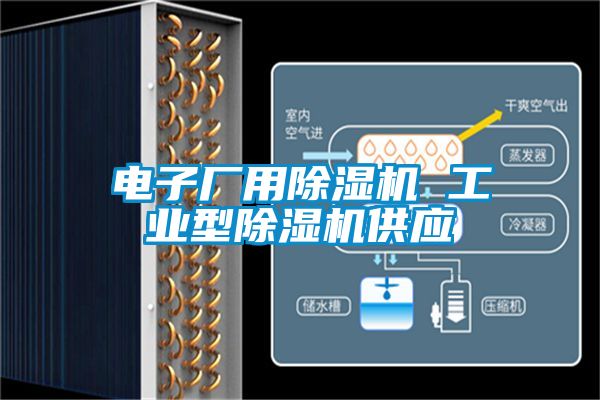 電子廠用除濕機 工業(yè)型除濕機供應