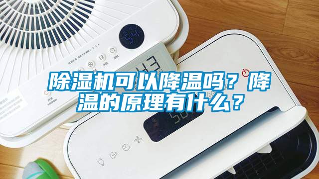 除濕機(jī)可以降溫嗎？降溫的原理有什么？