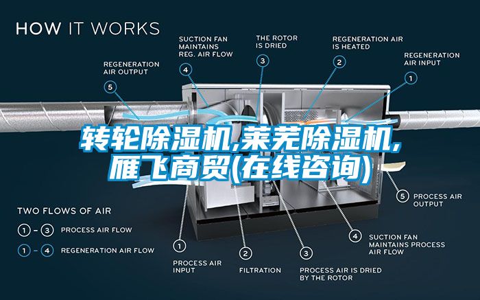 轉(zhuǎn)輪除濕機,萊蕪除濕機,雁飛商貿(mào)(在線咨詢)