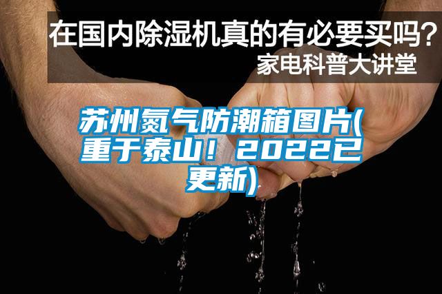 蘇州氮?dú)夥莱毕鋱D片(重于泰山！2022已更新)