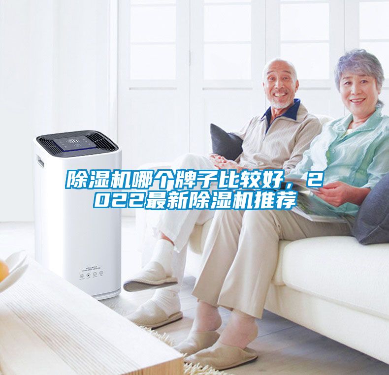 除濕機(jī)哪個牌子比較好，2022最新除濕機(jī)推薦